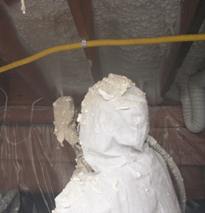 London ON crawl space insulation